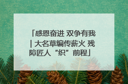感恩奋进 双争有我｜大名草编传薪火 残障匠人“织”前程