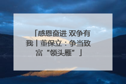 感恩奋进 双争有我丨董保立：争当致富“领头雁”