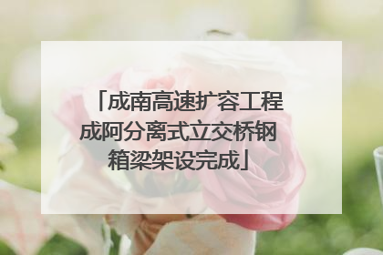成南高速扩容工程成阿分离式立交桥钢箱梁架设完成