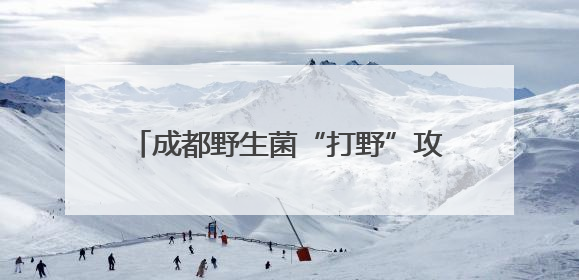 成都野生菌“打野”攻略走红 专家提醒：切勿随意采食，严重或致命