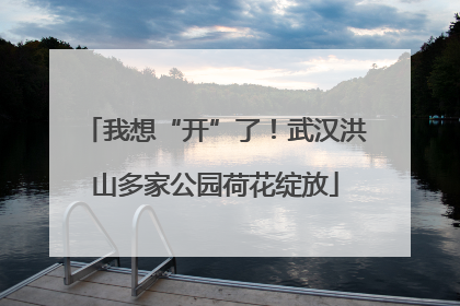 我想“开”了！武汉洪山多家公园荷花绽放