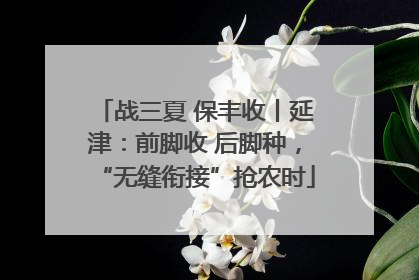 战三夏 保丰收丨延津：前脚收 后脚种，“无缝衔接”抢农时