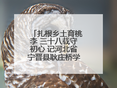 扎根乡土育桃李 三十八载守初心 记河北省宁晋县耿庄桥学区教师张志涛
