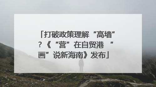 打破政策理解“高墙”？《“营”在自贸港 “画”说新海南》发布