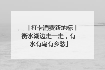 打卡消费新地标丨衡水湖边走一走，有水有鸟有乡愁