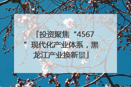 投资聚焦“4567”现代化产业体系，黑龙江产业换新景