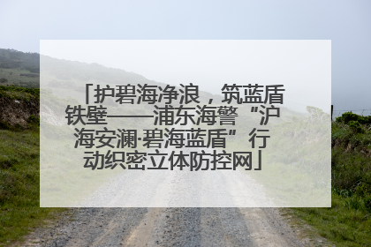 护碧海净浪，筑蓝盾铁壁——浦东海警“沪海安澜·碧海蓝盾”行动织密立体防控网