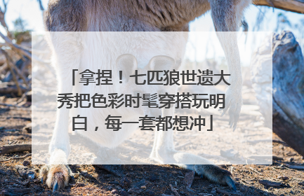 拿捏！七匹狼世遗大秀把色彩时髦穿搭玩明白，每一套都想冲