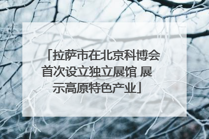拉萨市在北京科博会首次设立独立展馆 展示高原特色产业