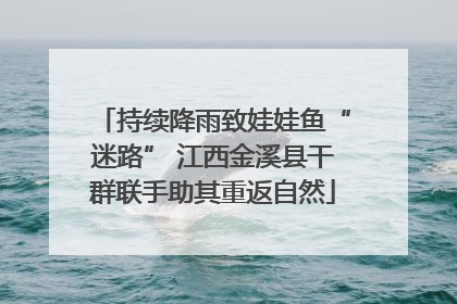 持续降雨致娃娃鱼“迷路” 江西金溪县干群联手助其重返自然