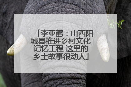 李亚鹤：山西阳城县推进乡村文化记忆工程 这里的乡土故事很动人