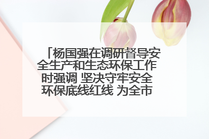 杨国强在调研督导安全生产和生态环保工作时强调 坚决守牢安全环保底线红线 为全市经济社会高质量发展提供坚强保障