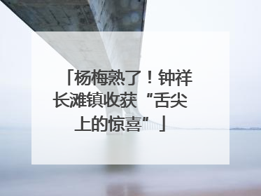 杨梅熟了！钟祥长滩镇收获“舌尖上的惊喜”