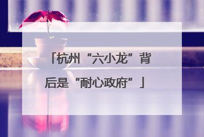 杭州“六小龙”背后是“耐心政府”
