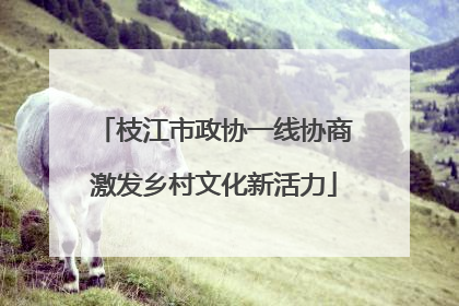 枝江市政协一线协商激发乡村文化新活力