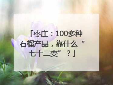枣庄：100多种石榴产品，靠什么“七十二变”？