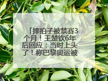 摔拍子被禁赛3个月！王楚钦6年后回应：当时上头了！称巴黎奥运被孙颖莎带着打，搭档8年“一个眼神就能懂”