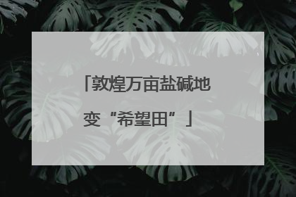 敦煌万亩盐碱地变“希望田”