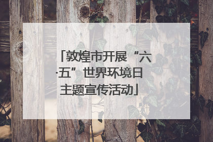 敦煌市开展“六·五”世界环境日主题宣传活动
