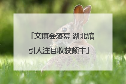 文博会落幕 湖北馆引人注目收获颇丰