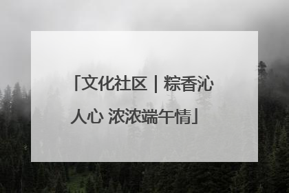 文化社区｜粽香沁人心 浓浓端午情