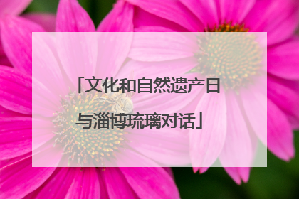 文化和自然遗产日与淄博琉璃对话