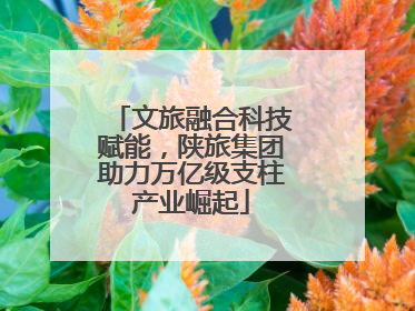 文旅融合科技赋能，陕旅集团助力万亿级支柱产业崛起