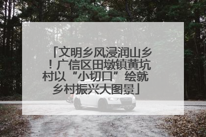文明乡风浸润山乡！广信区田墩镇黄坑村以“小切口”绘就乡村振兴大图景