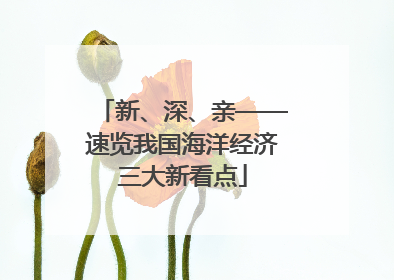 新、深、亲——速览我国海洋经济三大新看点
