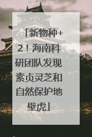 新物种+2！海南科研团队发现素贞灵芝和自然保护地壁虎