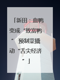 新田：血鸭变成“致富鸭” 预制菜撬动“舌尖经济”