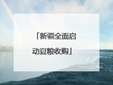 新疆全面启动夏粮收购