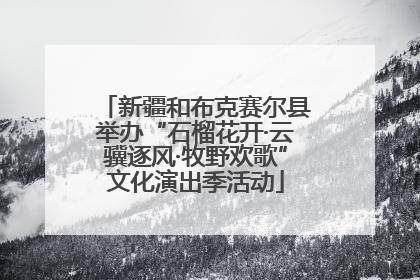 新疆和布克赛尔县举办“石榴花开·云骥逐风·牧野欢歌”文化演出季活动