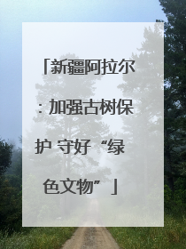 新疆阿拉尔：加强古树保护 守好“绿色文物”