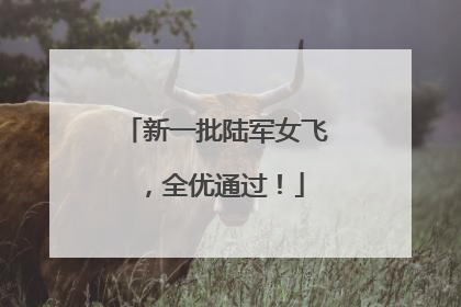 新一批陆军女飞，全优通过！
