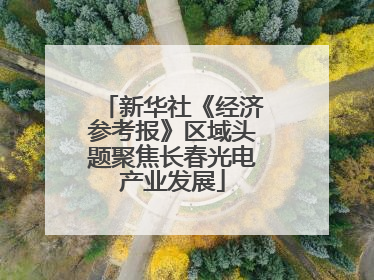 新华社《经济参考报》区域头题聚焦长春光电产业发展