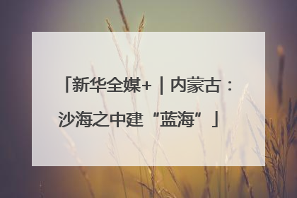 新华全媒+｜内蒙古：沙海之中建“蓝海”