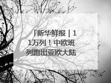新华鲜报｜11万列！中欧班列跑出亚欧大陆“新时速”