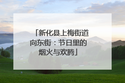 新化县上梅街道向东街：节日里的烟火与欢腾
