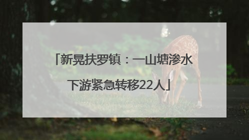 新晃扶罗镇：一山塘渗水 下游紧急转移22人