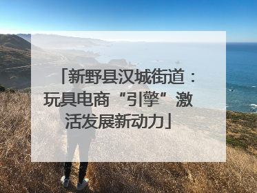 新野县汉城街道：玩具电商“引擎”激活发展新动力
