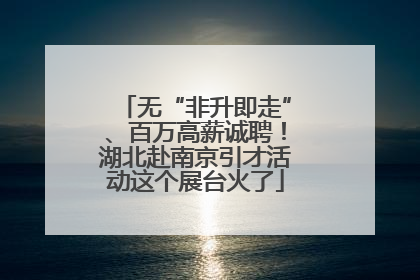 无“非升即走”、百万高薪诚聘！湖北赴南京引才活动这个展台火了