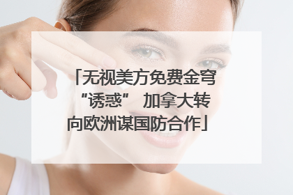 无视美方免费金穹“诱惑” 加拿大转向欧洲谋国防合作