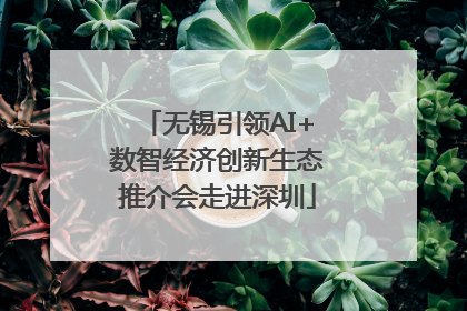 无锡引领AI+数智经济创新生态推介会走进深圳