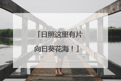 日照这里有片向日葵花海！