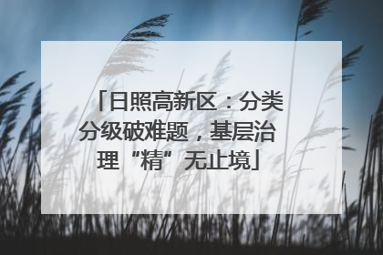 日照高新区：分类分级破难题，基层治理“精”无止境