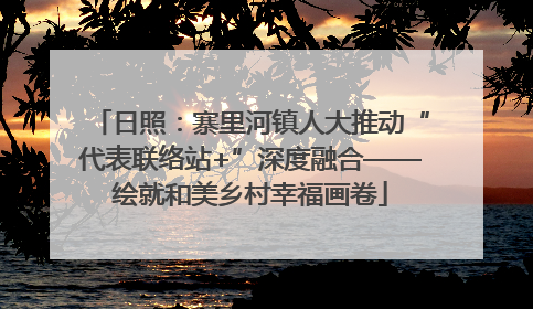 日照：寨里河镇人大推动“代表联络站+”深度融合——绘就和美乡村幸福画卷