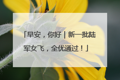 早安，你好｜新一批陆军女飞，全优通过！