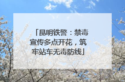 昆明铁警：禁毒宣传多点开花，筑牢站车无毒防线