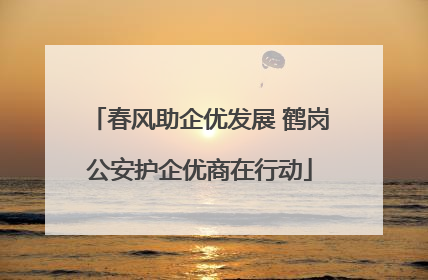 春风助企优发展 鹤岗公安护企优商在行动
